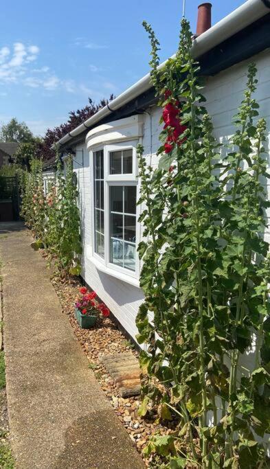Field Cottage Whittlesey Екстериор снимка